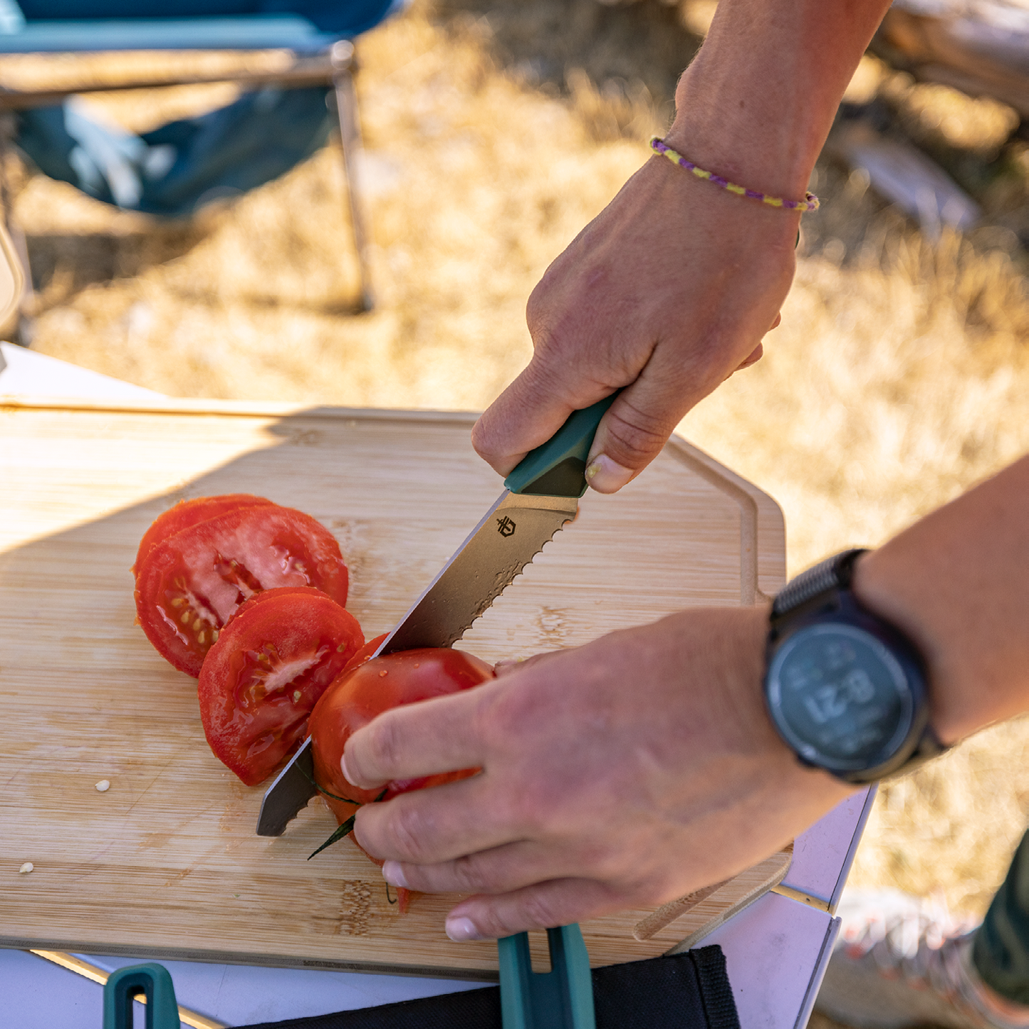 GERBER ComplEAT Knife Set